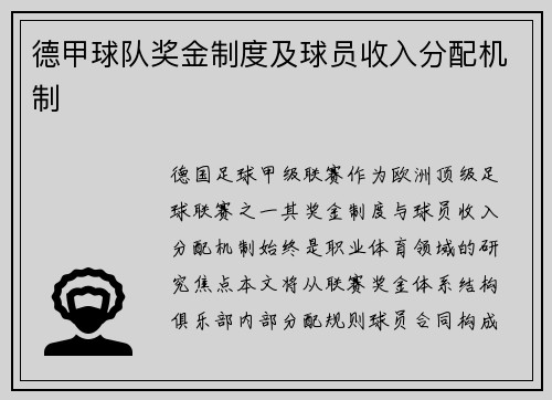 德甲球队奖金制度及球员收入分配机制